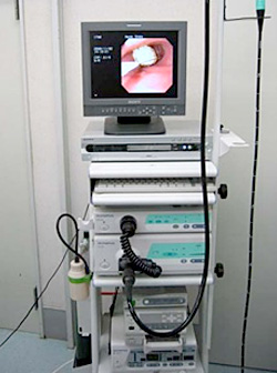 動物用内視鏡システム
