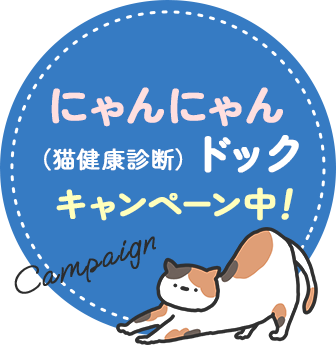 にゃんにゃんドックキャンペーン中